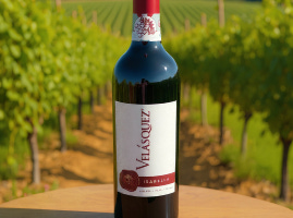 Tinto Isabella Velásquez