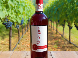 Vino Quebranta Velásquez
