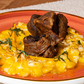 Ir a nuestra especialidad